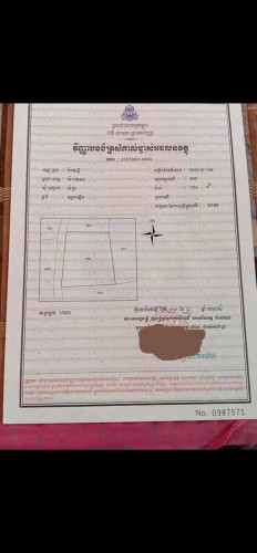 ដីលក់បន្ទាន់ (ម្ចាស់លក់ខាត)