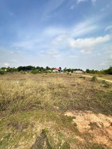 ដីលក់