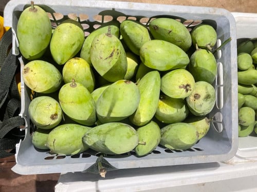 ស្វាយកែវចិន10គីឡូ45000៛ផ្លែធំផ្ងែមឆ្ងាញ