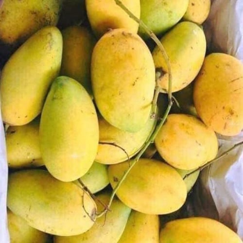 ស្វាយកែវចិន10គីឡូ45000៛ផ្លែធំផ្ងែមឆ្ងាញ