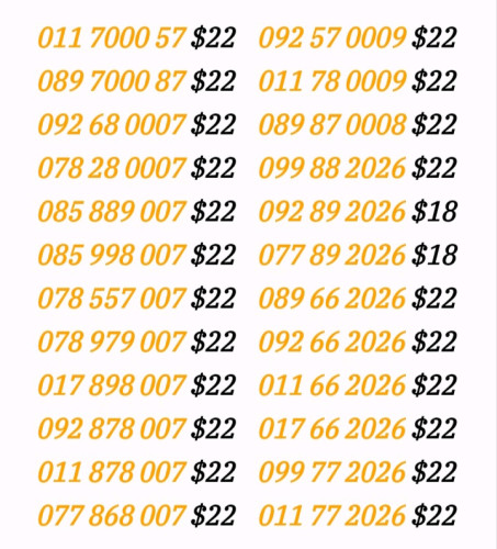 លេខកន្ទុយ 289/356