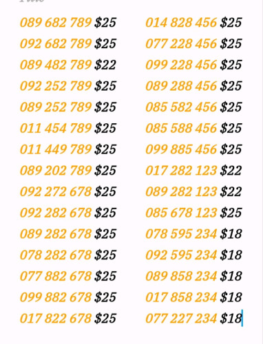 លេខកន្ទុយ 289/356