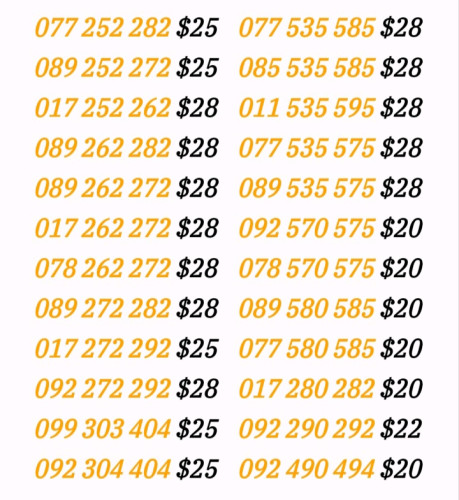 លេខកន្ទុយ 289/356