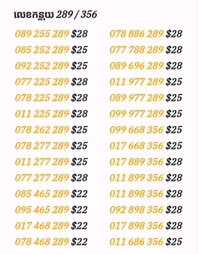 លេខកន្ទុយ 289/356