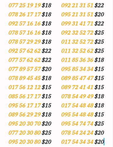 លេខកន្ទុយ 289/356