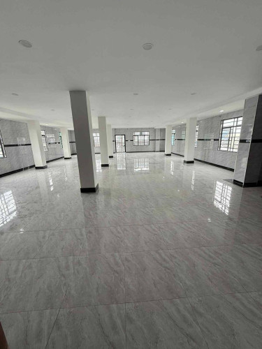 អាគារជួលមាន41បន្ទប់គេងមាន Hall= 240m