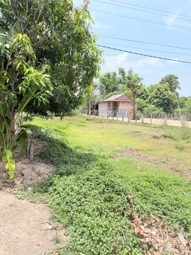 ដីលក់ ស្រុកបន្ទាយស្រីជាប់ផ្លូវជាតិលេខ67
