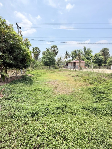 ដីលក់ ស្រុកបន្ទាយស្រីជាប់ផ្លូវជាតិលេខ67