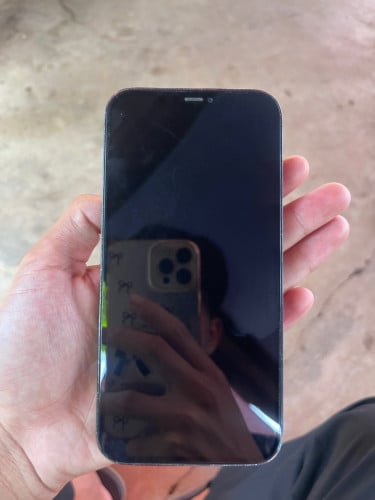 iPhone 12 Pro Max