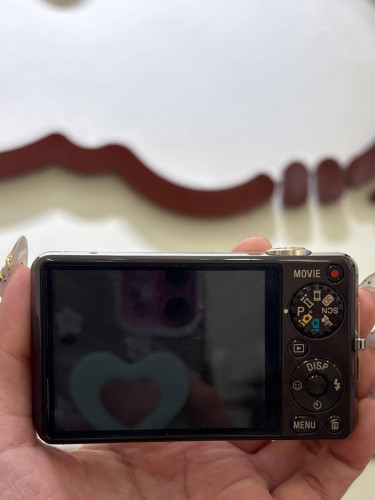 SONY DSC WX1