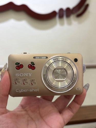 SONY DSC WX1