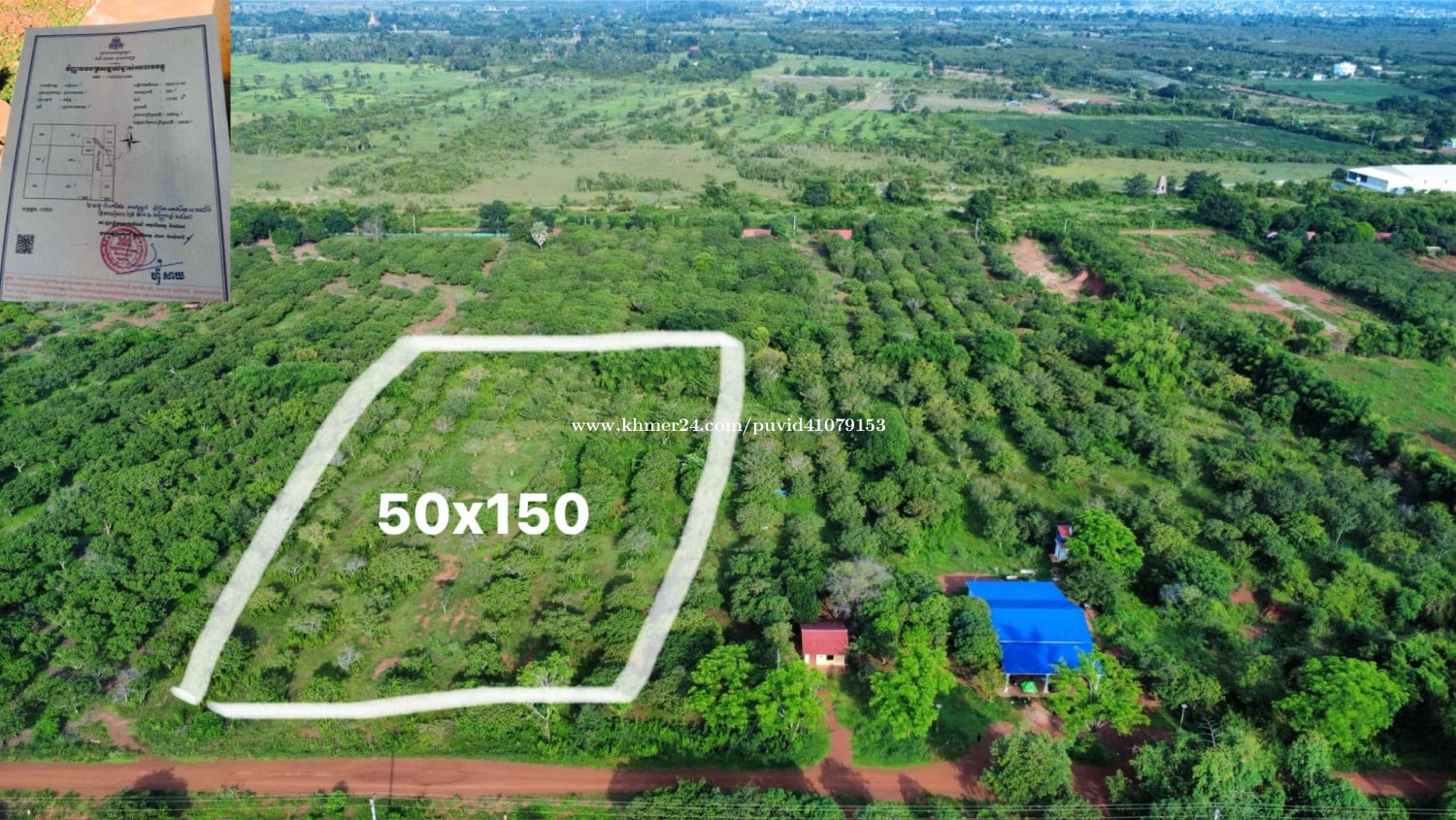 ដីចំការប្លង់រឹងលក់