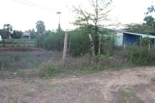ដីលក់