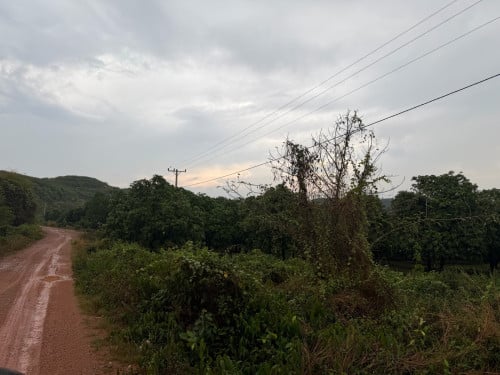 ដីចំការលក់ធូរថ្លៃ