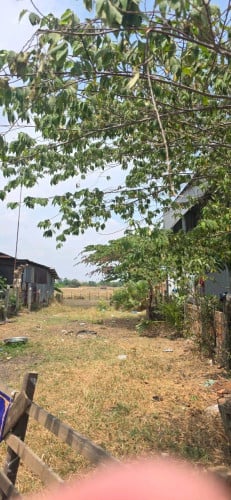 ដីនៅស្រុកពញ្ញឮលក់បន្ទាន់