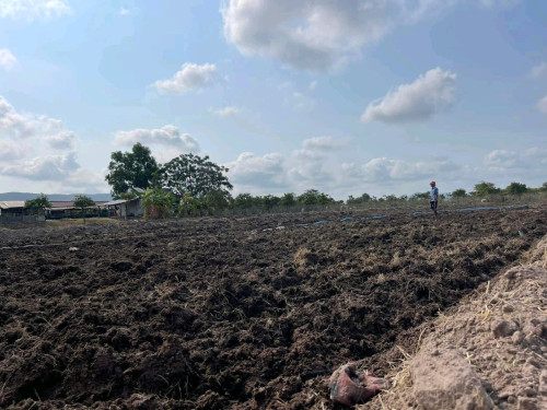 ខេត្តកំពតដីល្អ តម្លៃល្អ ជិតភ្នំ ជាប់ផ្លូវ សំខាន់មានទិកភ្លើងស្រាប់