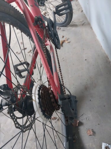 Bike for sale / everything is new just dusty