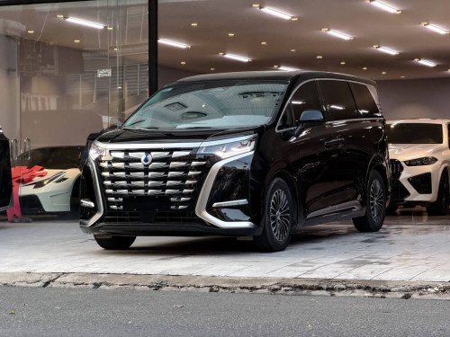 Denza D9 PHEV