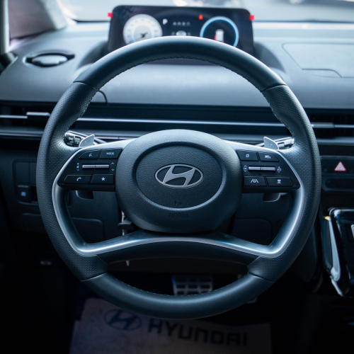 Hyundai Staria  VIP