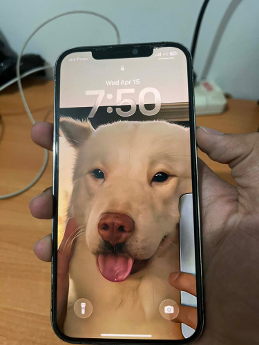 Iphone 12 pro max 210$ ដាច់