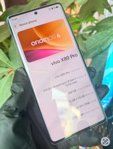 Vivo X80pro