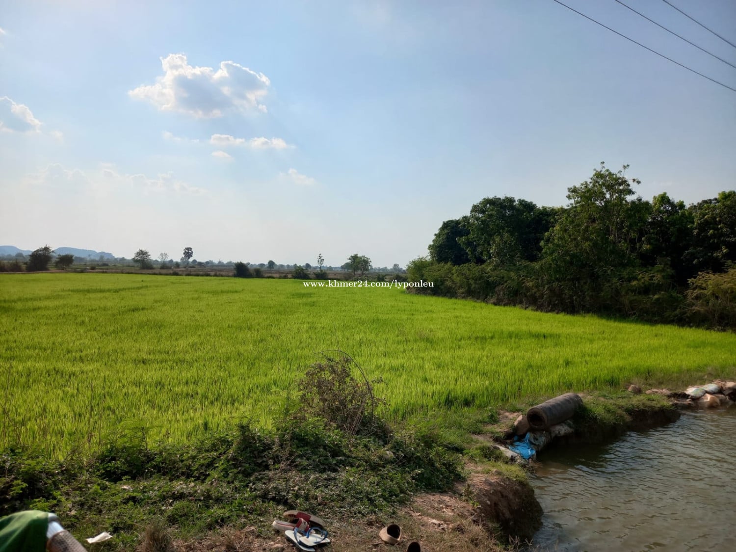 ដីចំការនិងដីស្រែលក់