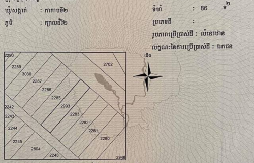 ផ្ទះត្រចៀកកាំនៅកណ្តាលរាជធានីភ្នំពេញ birdnest house for sale