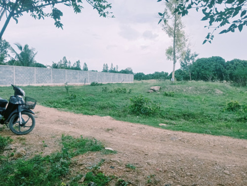 ដីលក់