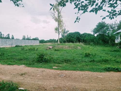 ដីលក់