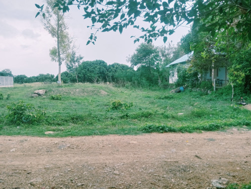 ដីលក់
