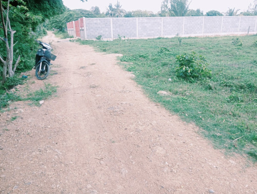 ដីលក់