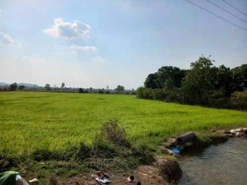 ដីចំការនិងដីស្រែលក់