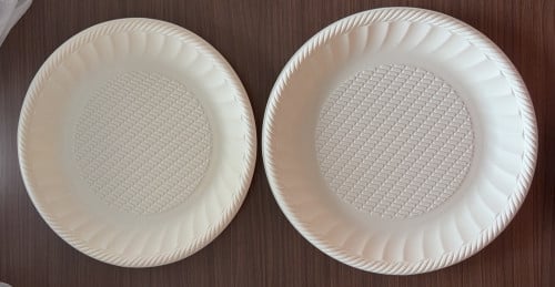 玉米淀粉一次性可降解餐盘