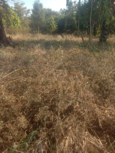 តម្លៃចរចាបាន