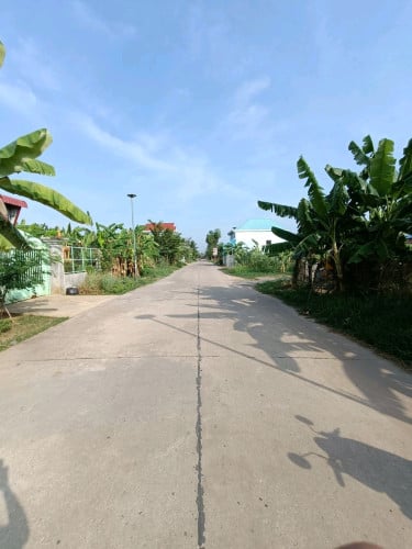 ដីលក់ នៅក្រុងអរិយក្សត្រ