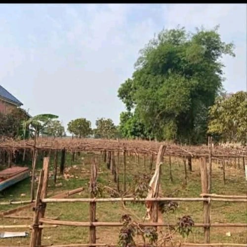 ដីលក់បន្ទាន់តម្លៃក្រោមទីផ្សារ