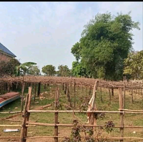 ដីលក់បន្ទាន់តម្លៃក្រោមទីផ្សារ