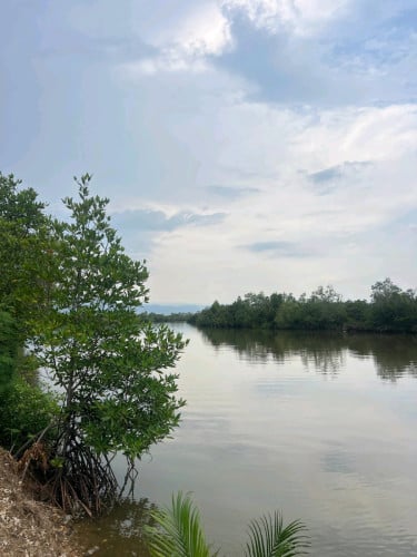 លក់ប្រញ៉ាប់ធូរៗ