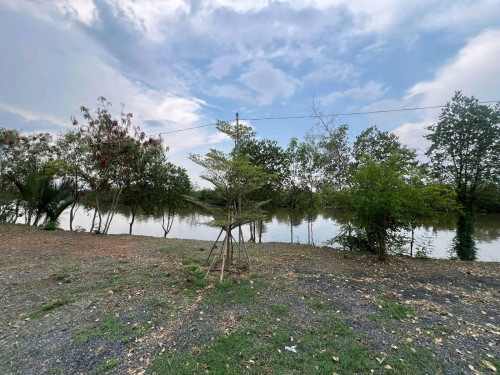 លក់ប្រញ៉ាប់ធូរៗ