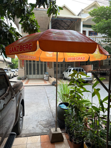 ឆ័ត្រនិងជើង