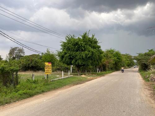 ដីជាប់ផ្លូវធ