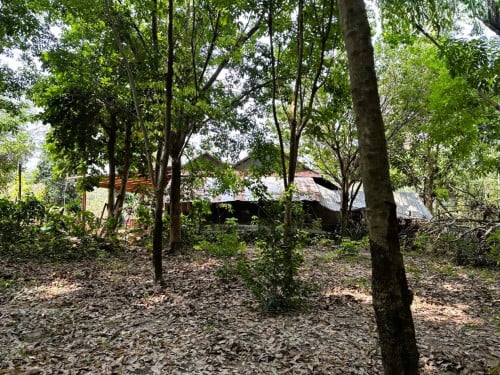 ๐ แขแ
แแแแแแแแ แแแแกแถแแกแปแ (Auctioned Properties) ๐ท