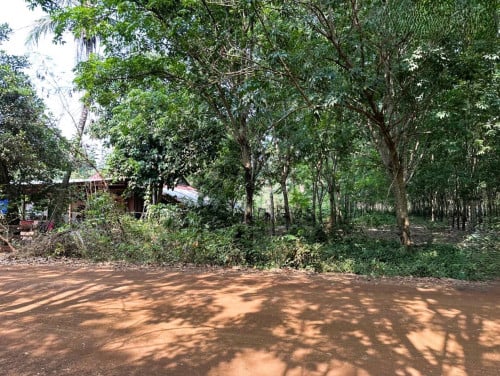 ๐ แขแ
แแแแแแแแ แแแแกแถแแกแปแ (Auctioned Properties) ๐ท