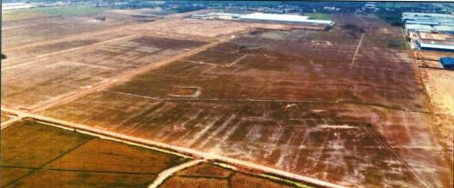 📣 Urgent Land for Sale – 114 Hectares in Bavet City, Svay Rieng Province