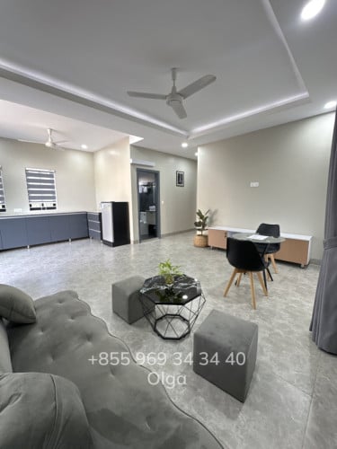🔑  Siem Reap, Brand new Apartment with Swimming Pool for Rent (#197)