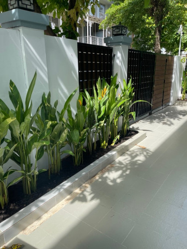 2 twin villa for rent very urgent