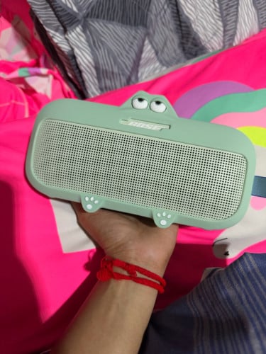 Case BoseSoundlink Flex 2 cute