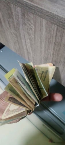 Collection
