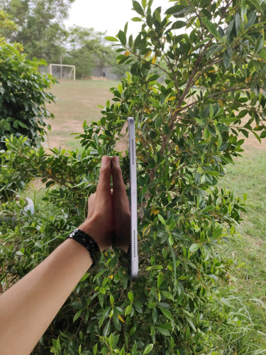 iPad pro 11 2020 256G wifi only