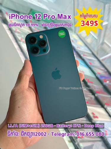iPhone 12 Pro Max